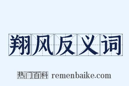 翔风反义词是什么意思的图片